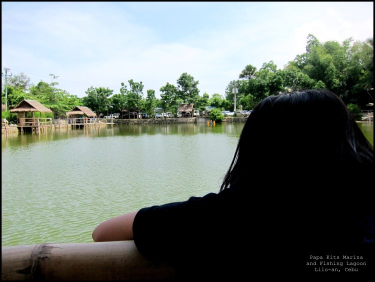 © 2012 They Dream Publishing. All rights reserved