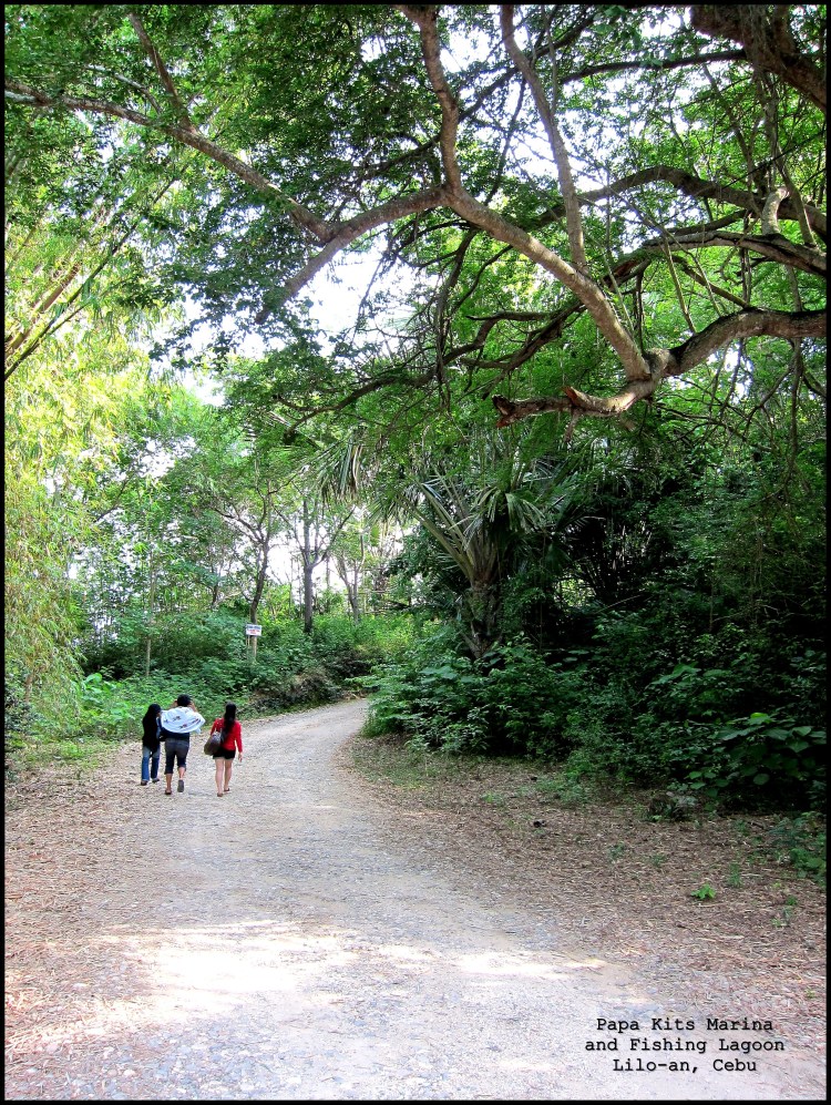 © 2012 They Dream Publishing. All rights reserved