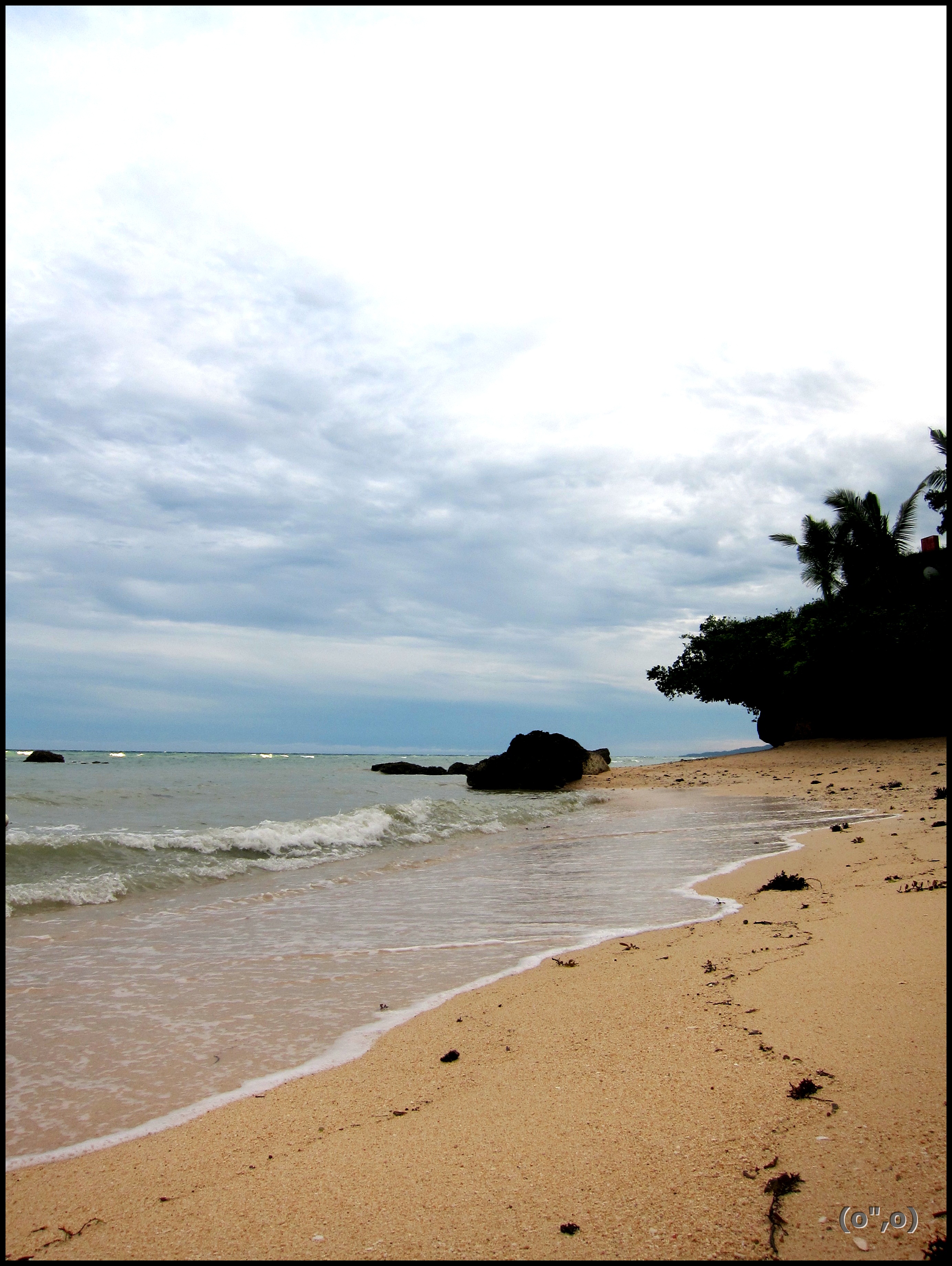 © 2012 They Dream Publishing. All rights reserved