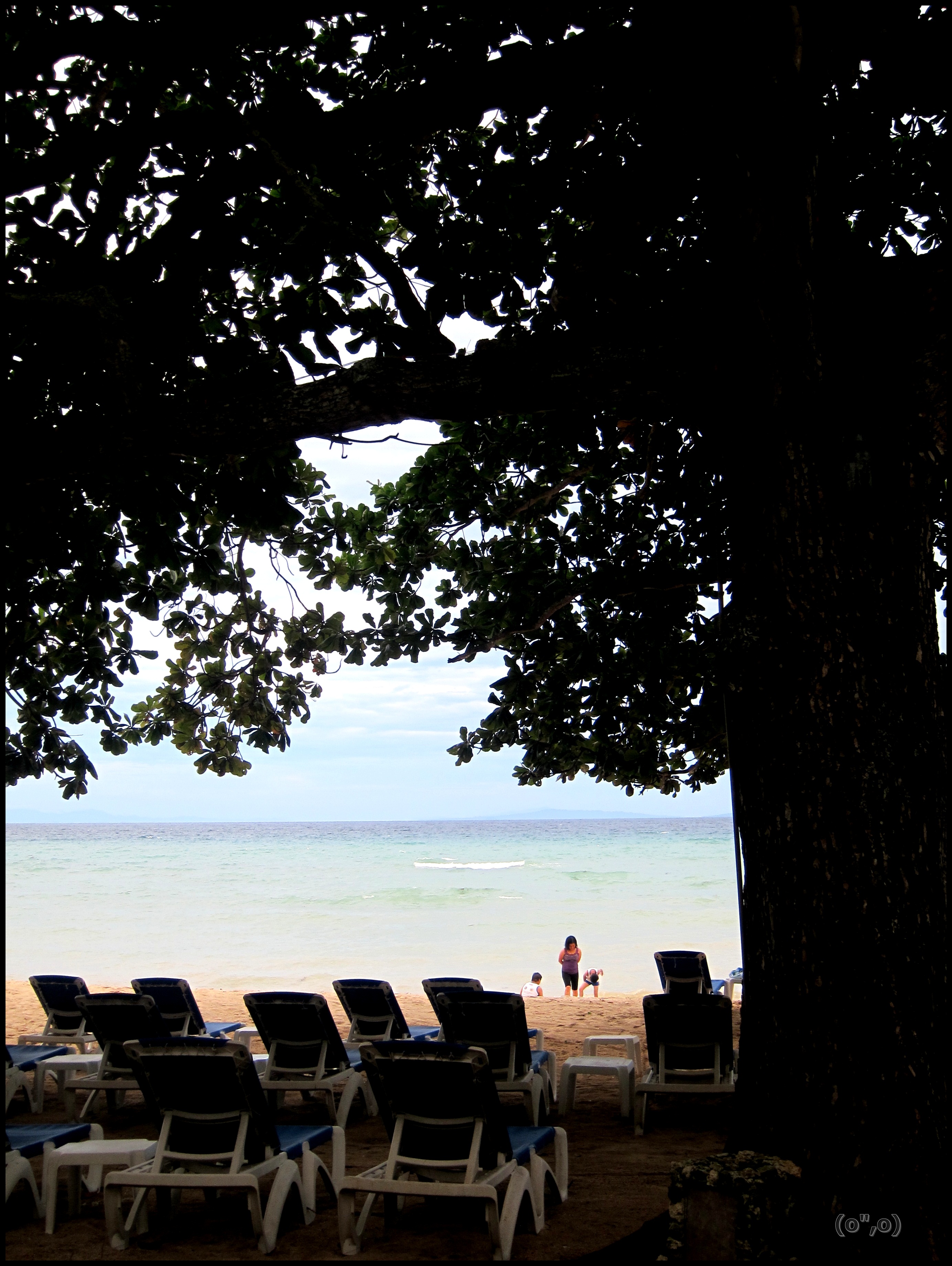 © 2012 They Dream Publishing. All rights reserved