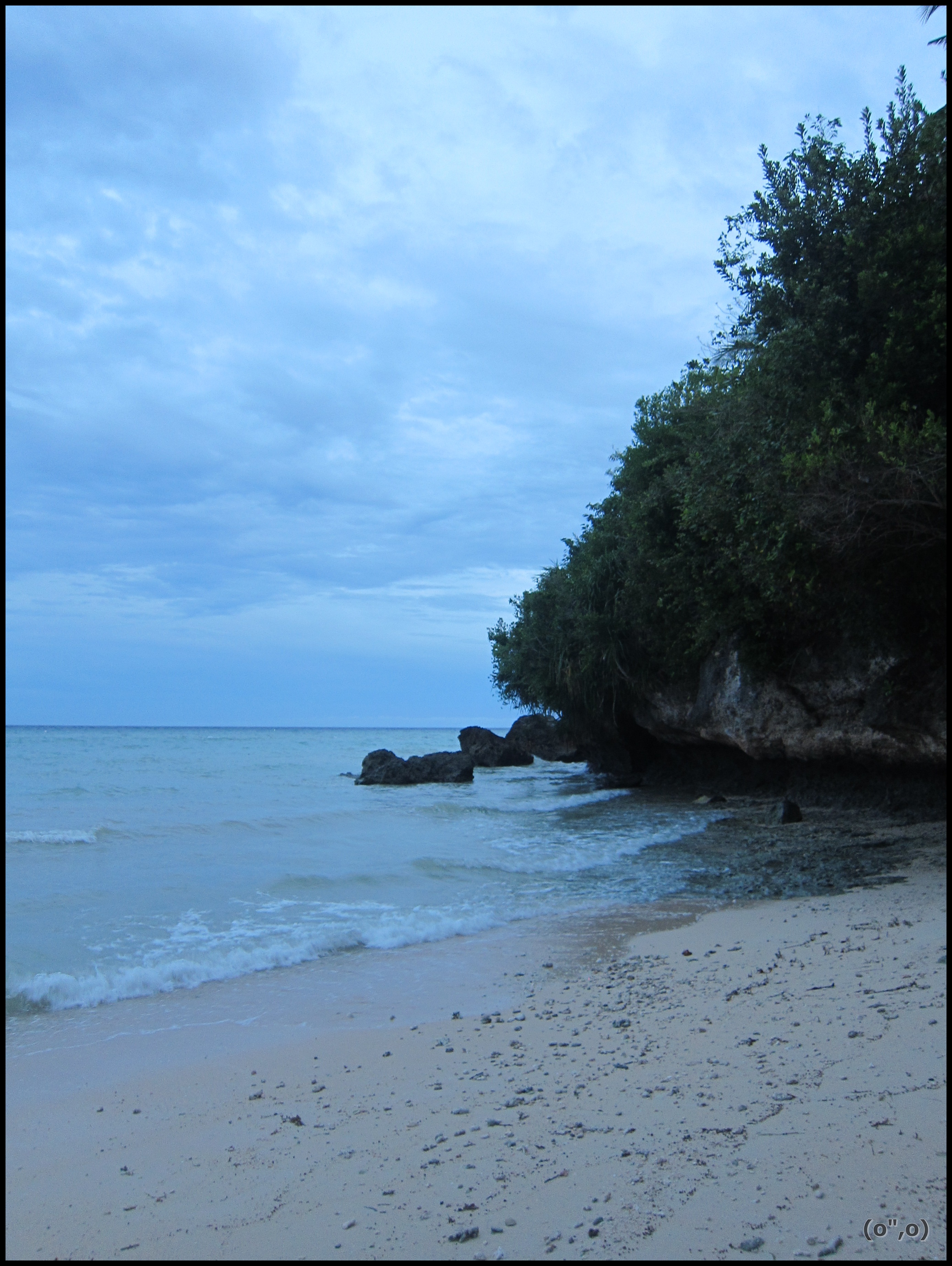 © 2012 They Dream Publishing. All rights reserved