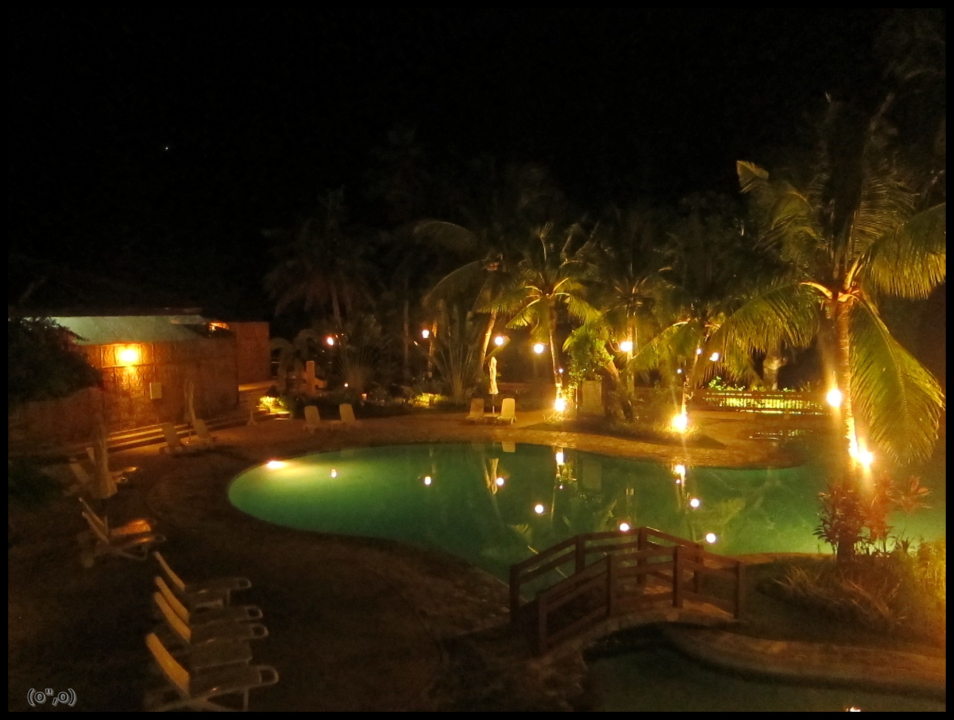 © 2012 They Dream Publishing. All rights reserved