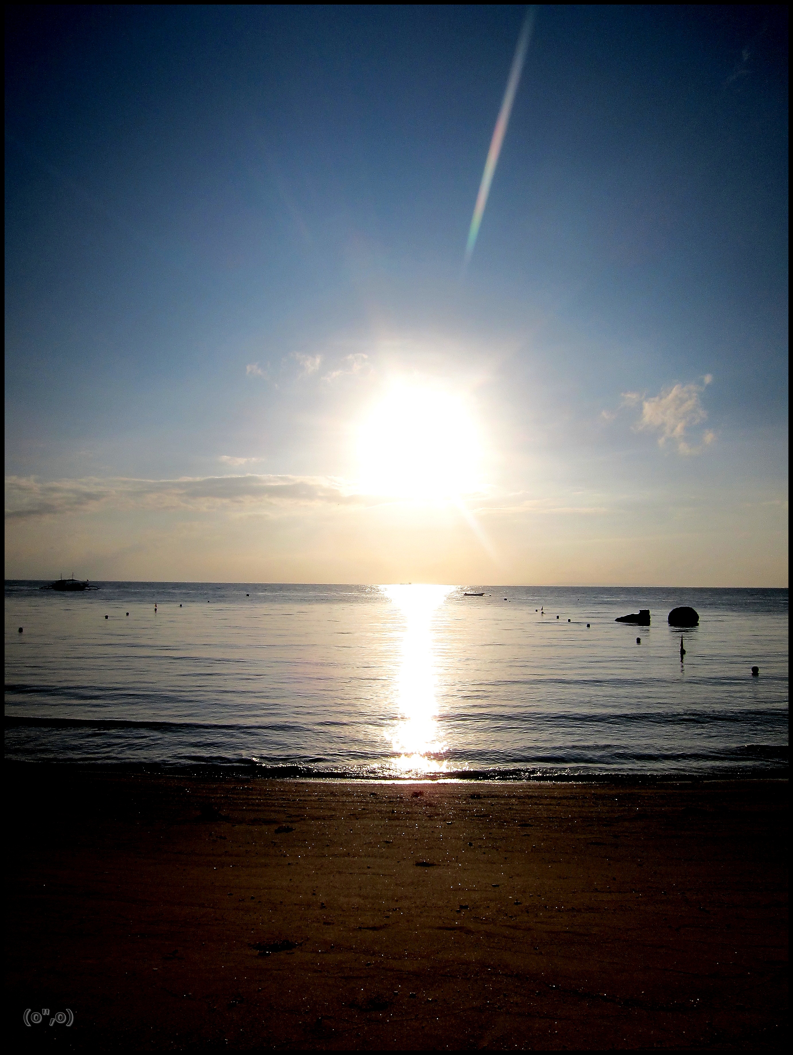 © 2012 They Dream Publishing. All rights reserved