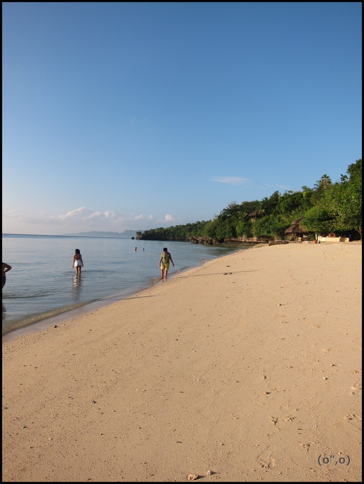 © 2012 They Dream Publishing. All rights reserved