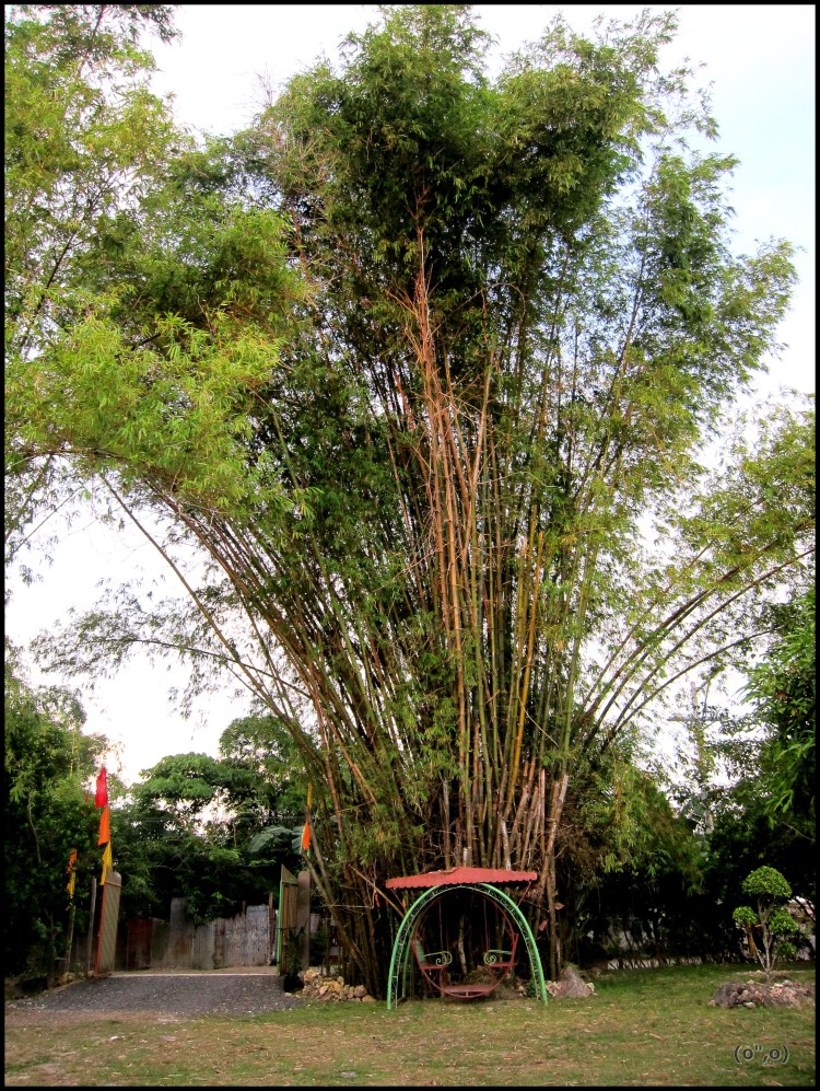 © 2012 They Dream Publishing. All rights reserved