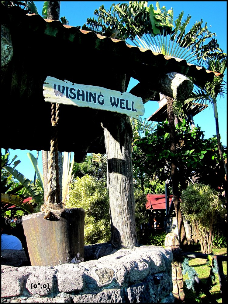 © 2012 They Dream Publishing. All rights reserved