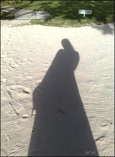 © 2013 They Dream Publishing. All rights reserved