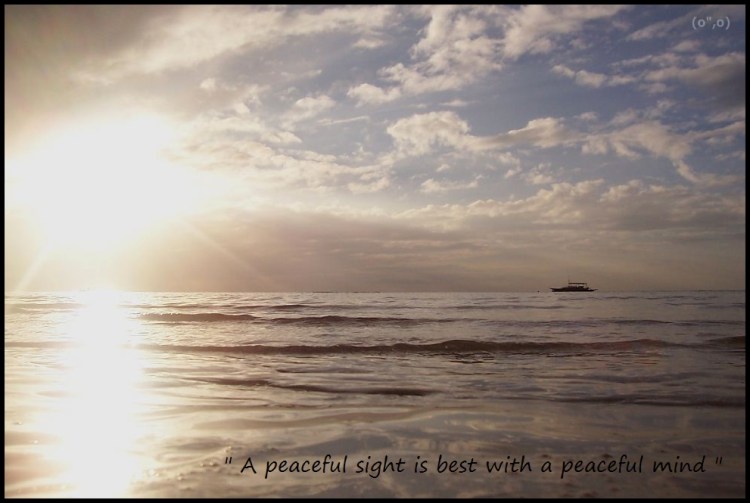 © 2012 They Dream Publishing. All rights reserved