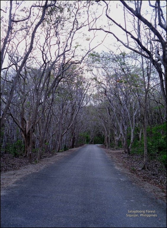 © 2014 They Dream Publishing. All rights reserved