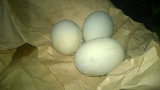 Looks just like regular eggs. Well, these are regular duck eggs - just prepared differently.