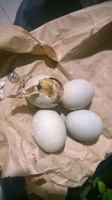 Crack it open to start. You'd notice there's a soup of some sort. You put salt (some prefer vinegar) and you slurp the soup in. Yes, slurp.